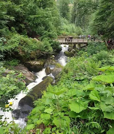 Apartment My 35 Nr 9 Villingen-Schwenningen